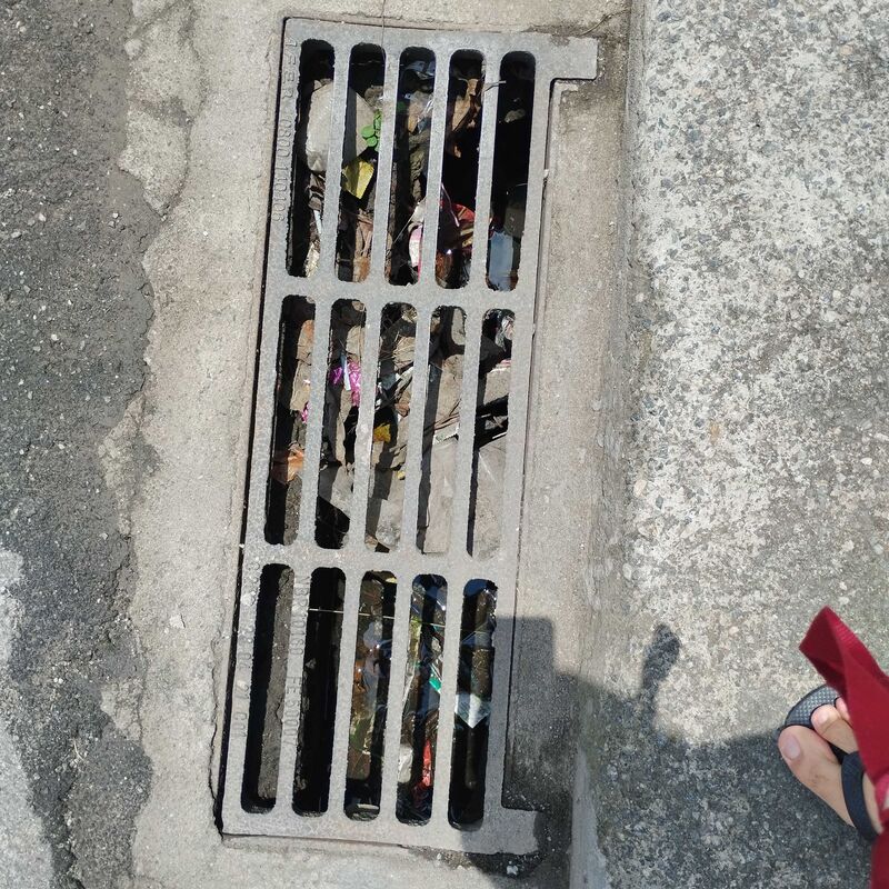 Imagem da publicação