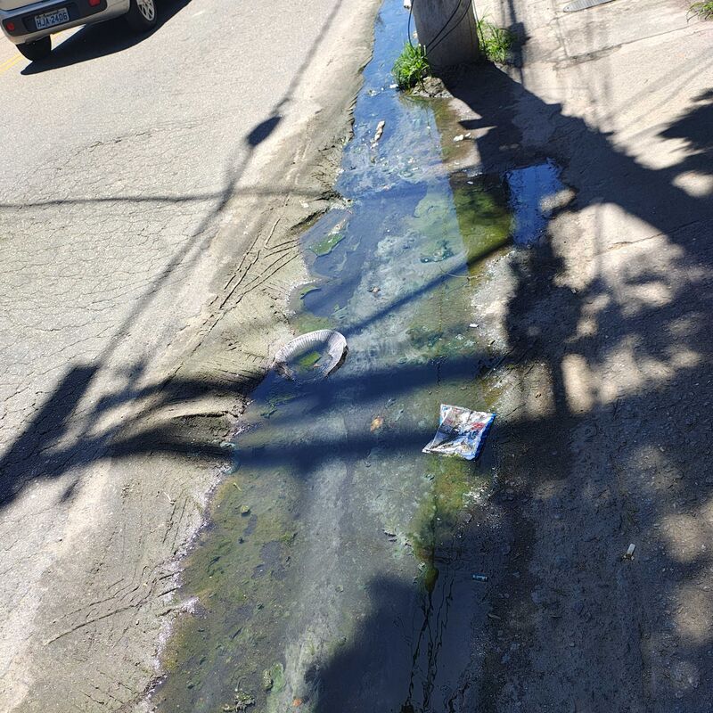 Imagem da publicação