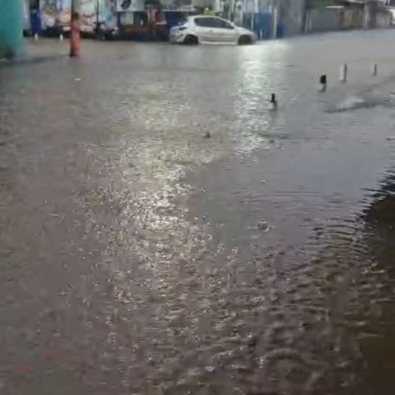 Imagem da publicação