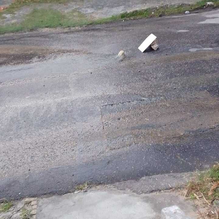 Imagem da publicação