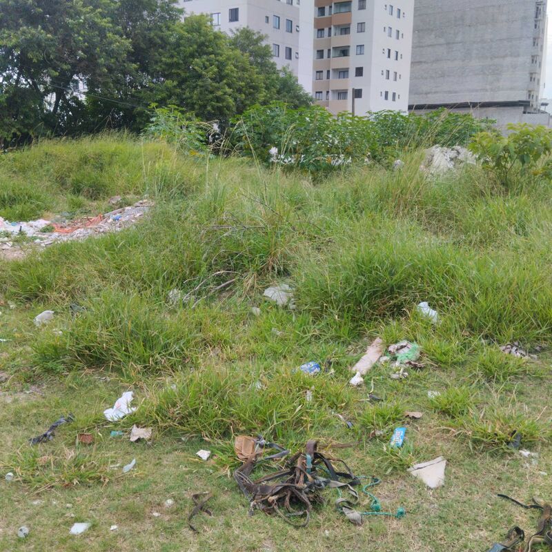 Imagem da publicação