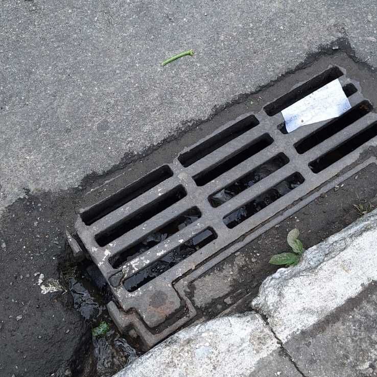 Imagem da publicação