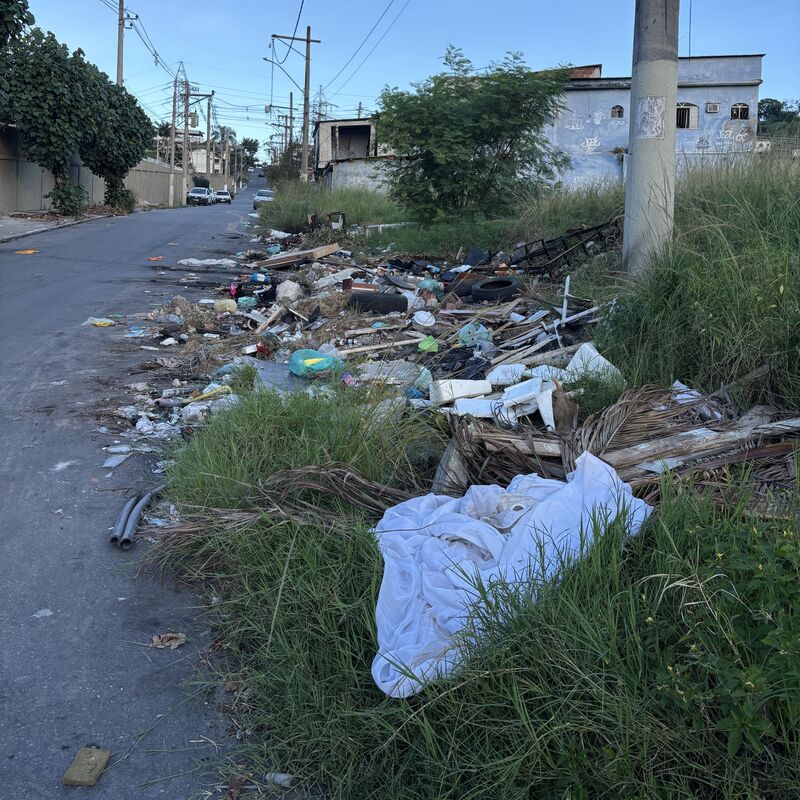 Imagem da publicação