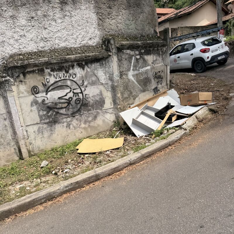 Imagem da publicação