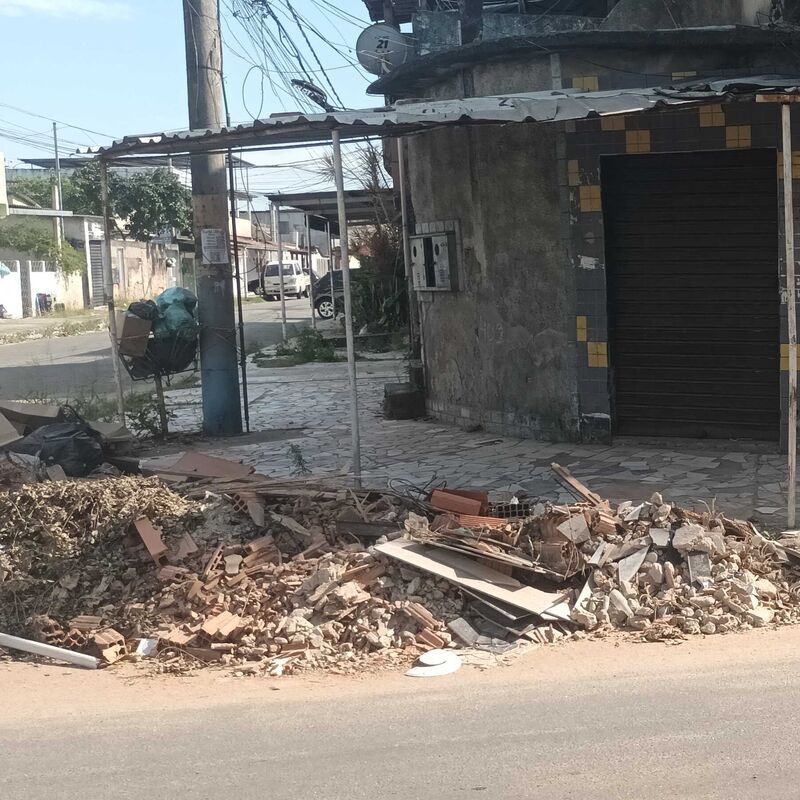 Imagem da publicação