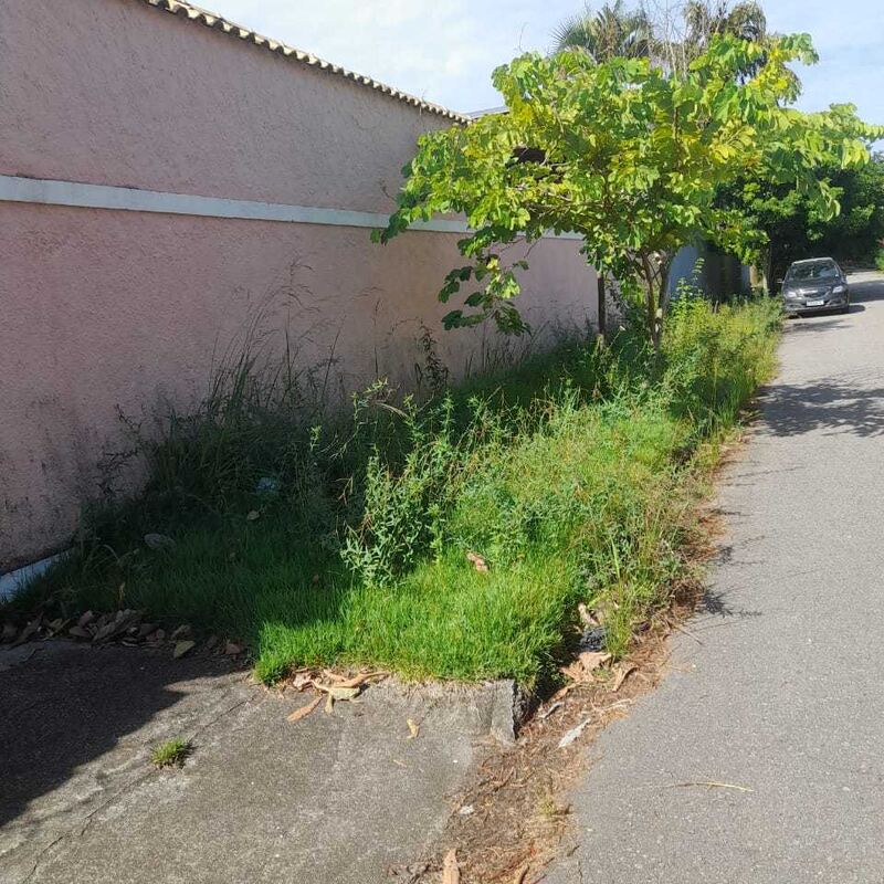 Imagem da publicação