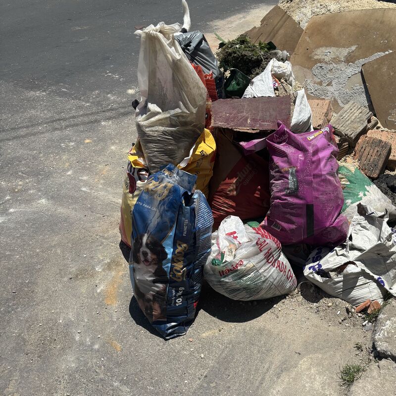 Imagem da publicação