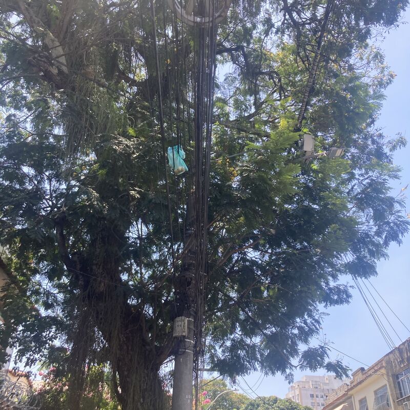 Imagem da publicação