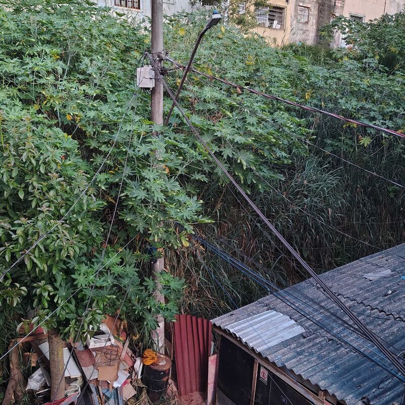 Imagem da publicação