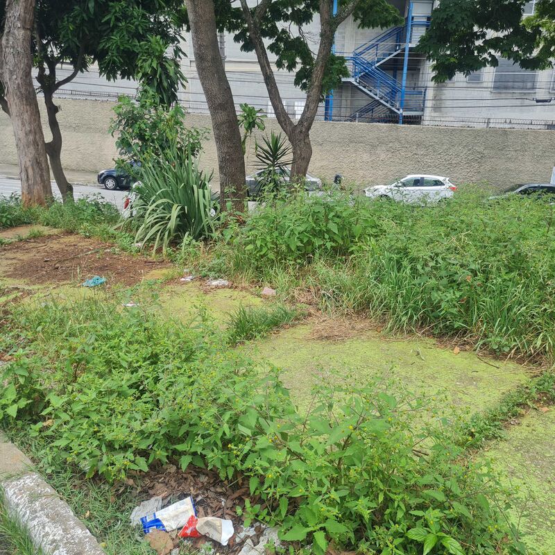 Imagem da publicação