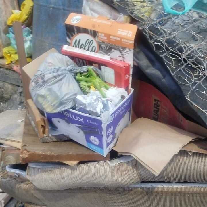 Imagem da publicação