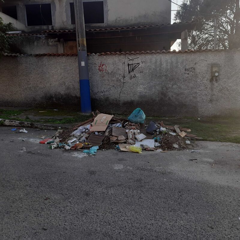 Imagem da publicação