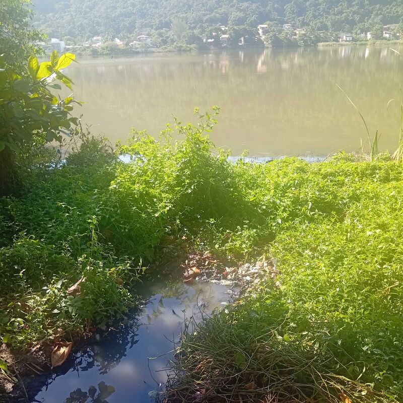 Imagem da publicação