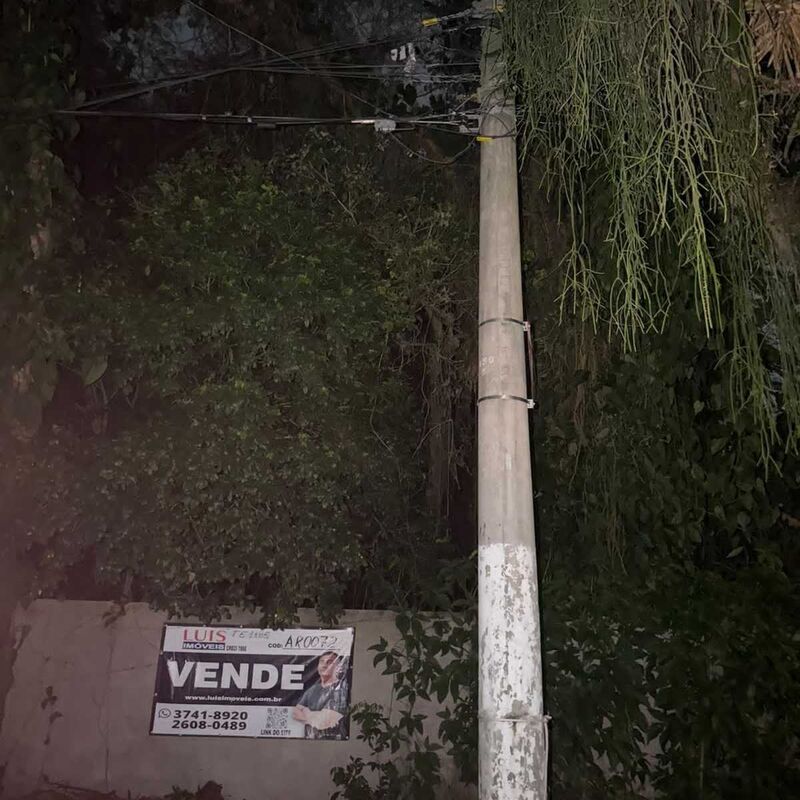 Imagem da publicação