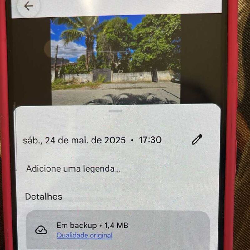Imagem da publicação