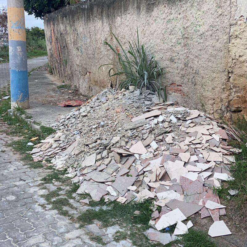 Imagem da publicação