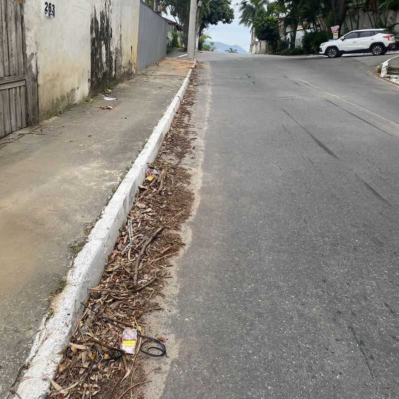 Imagem da publicação