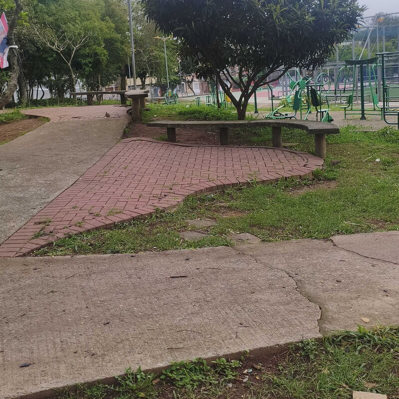 Imagem da publicação