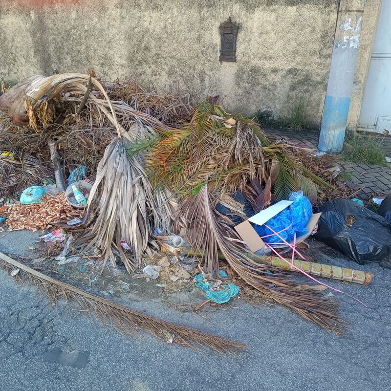 Imagem da publicação