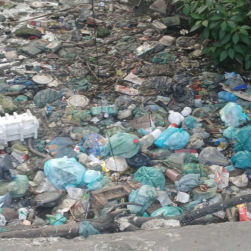 Imagem da publicação