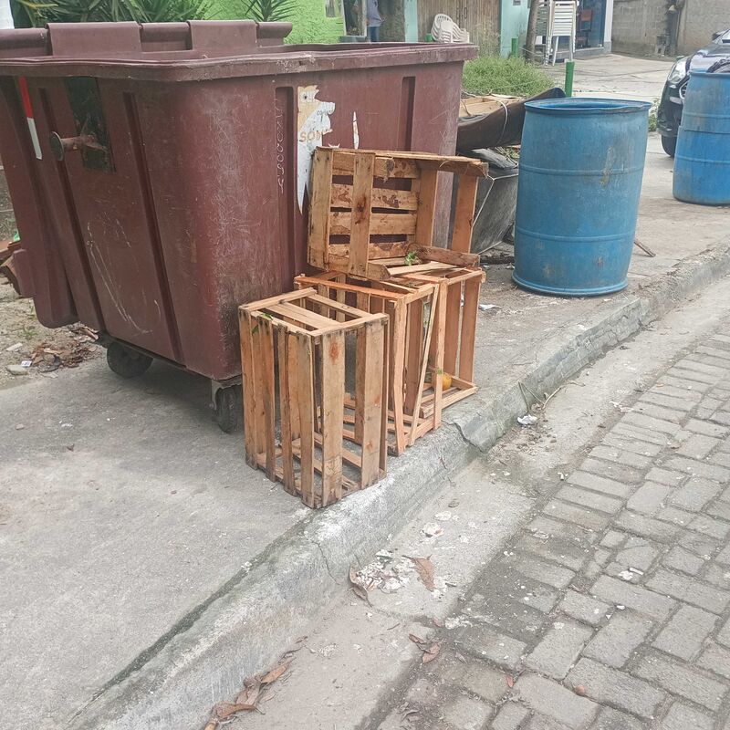 Imagem da publicação