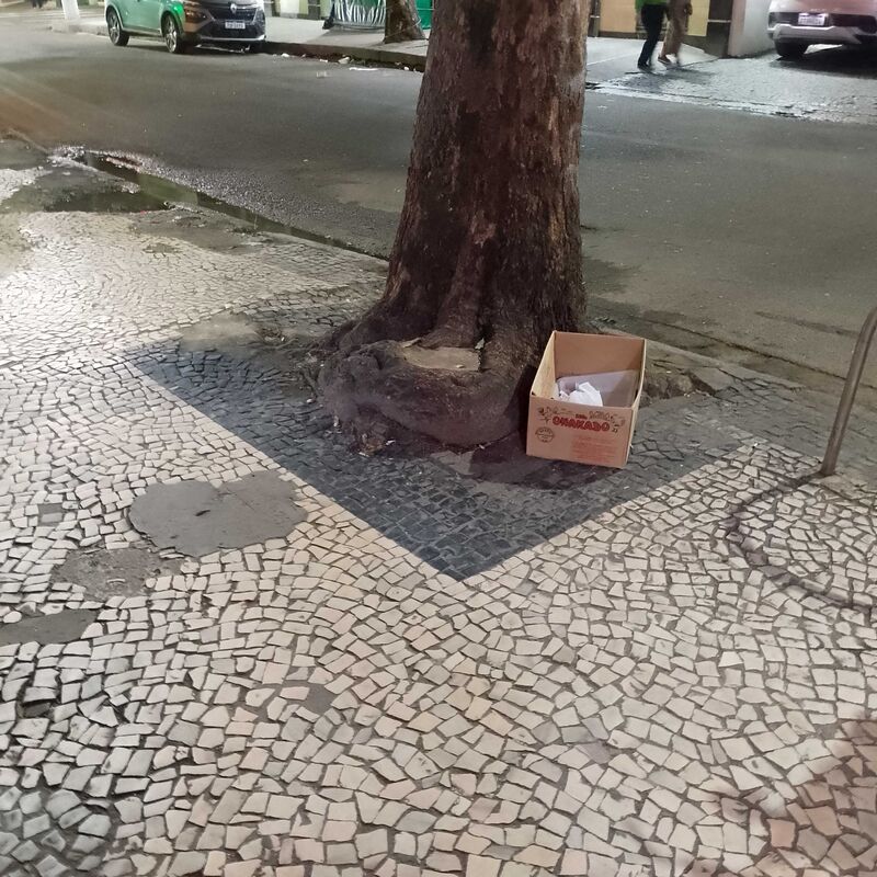 Imagem da publicação