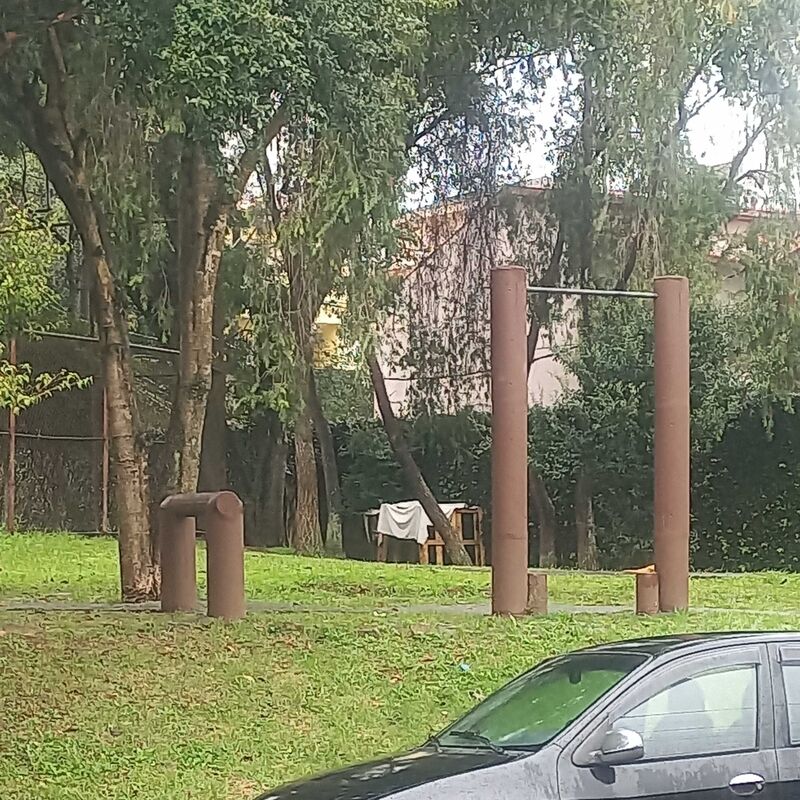 Imagem da publicação