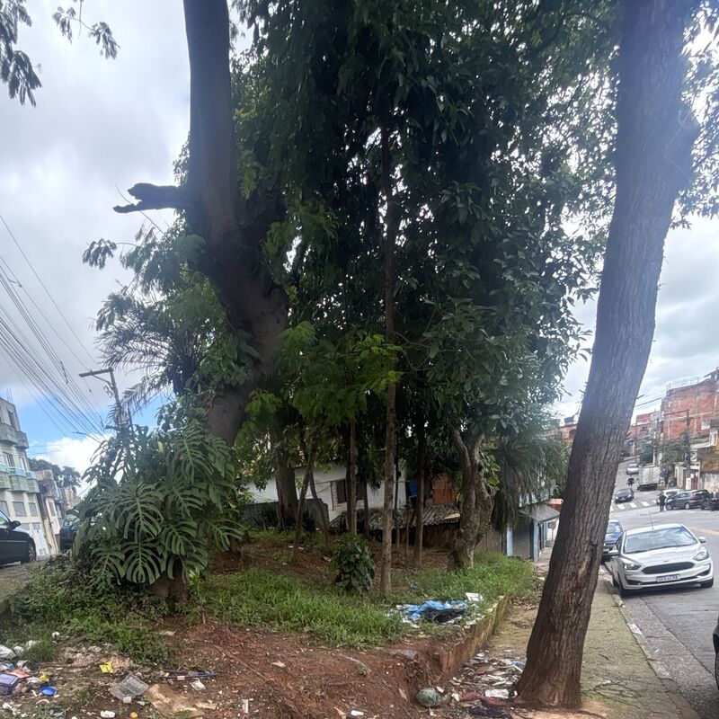 Imagem da publicação