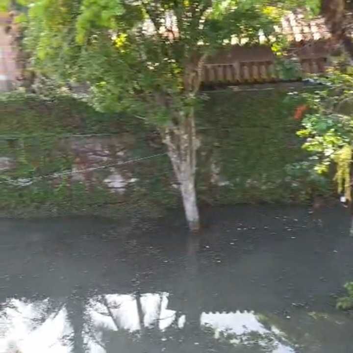 Imagem da publicação