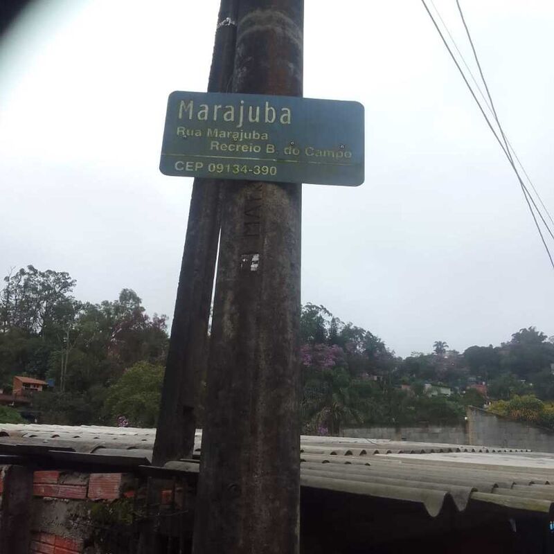 Imagem da publicação