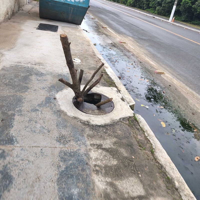 Imagem da publicação