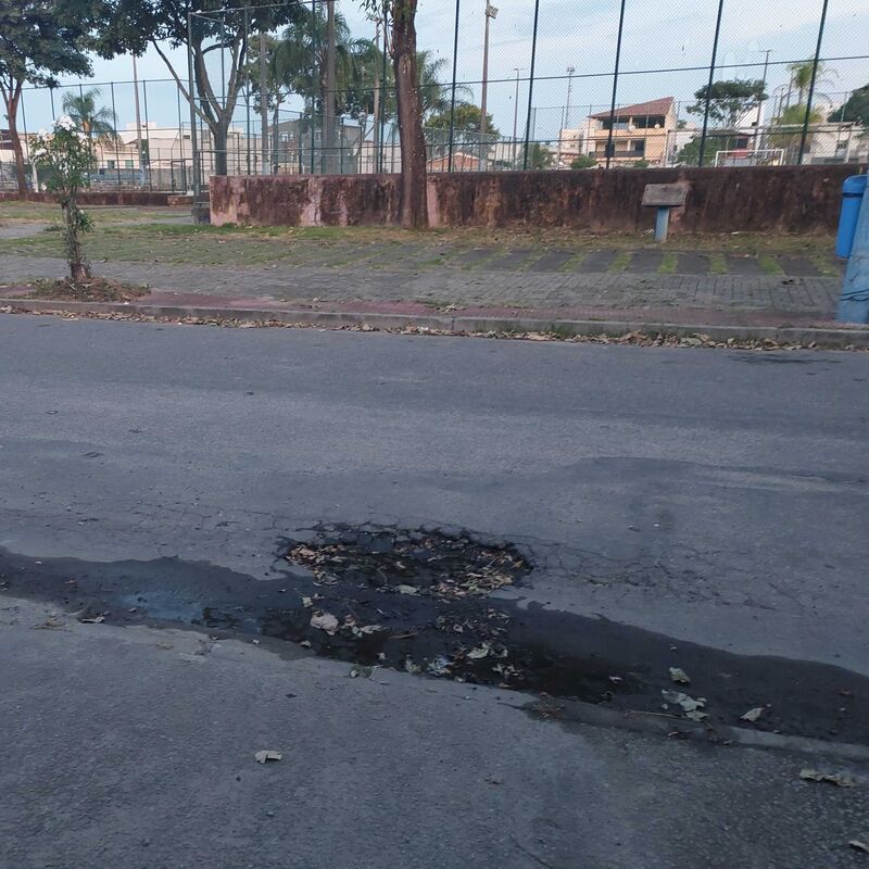 Imagem da publicação