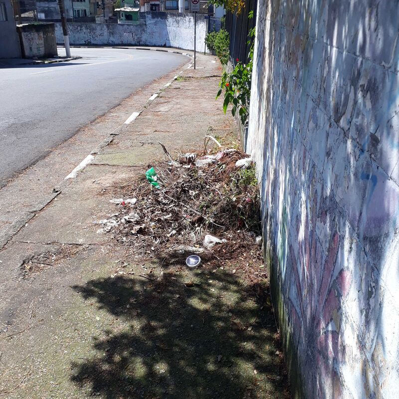 Imagem da publicação