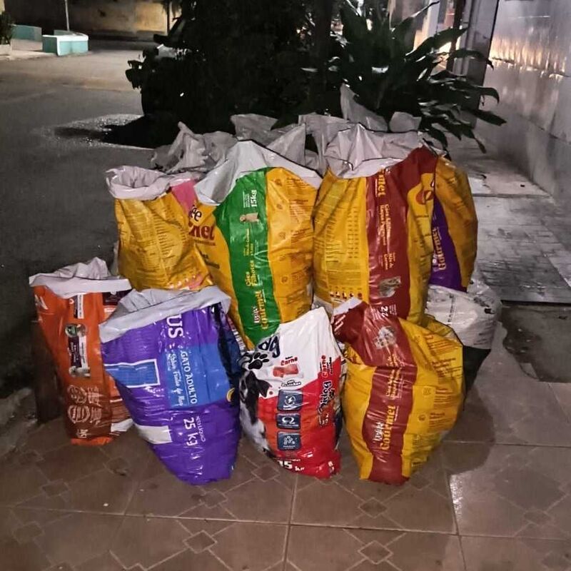 Imagem da publicação