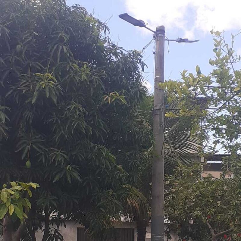 Imagem da publicação