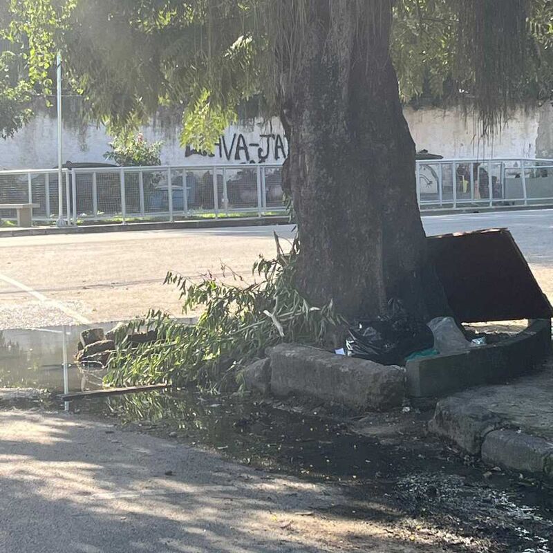 Imagem da publicação