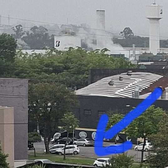 Imagem da publicação