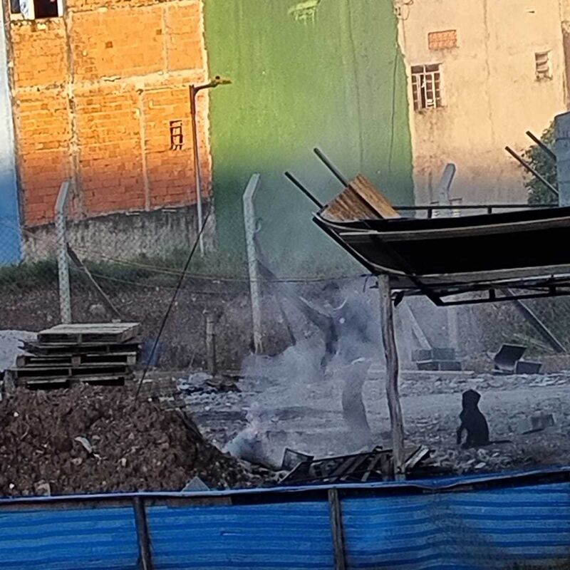 Imagem da publicação