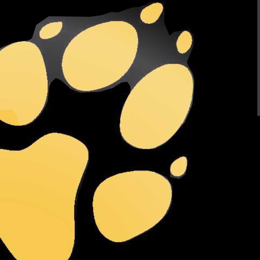 Sheila Diane Rodrigues Alves