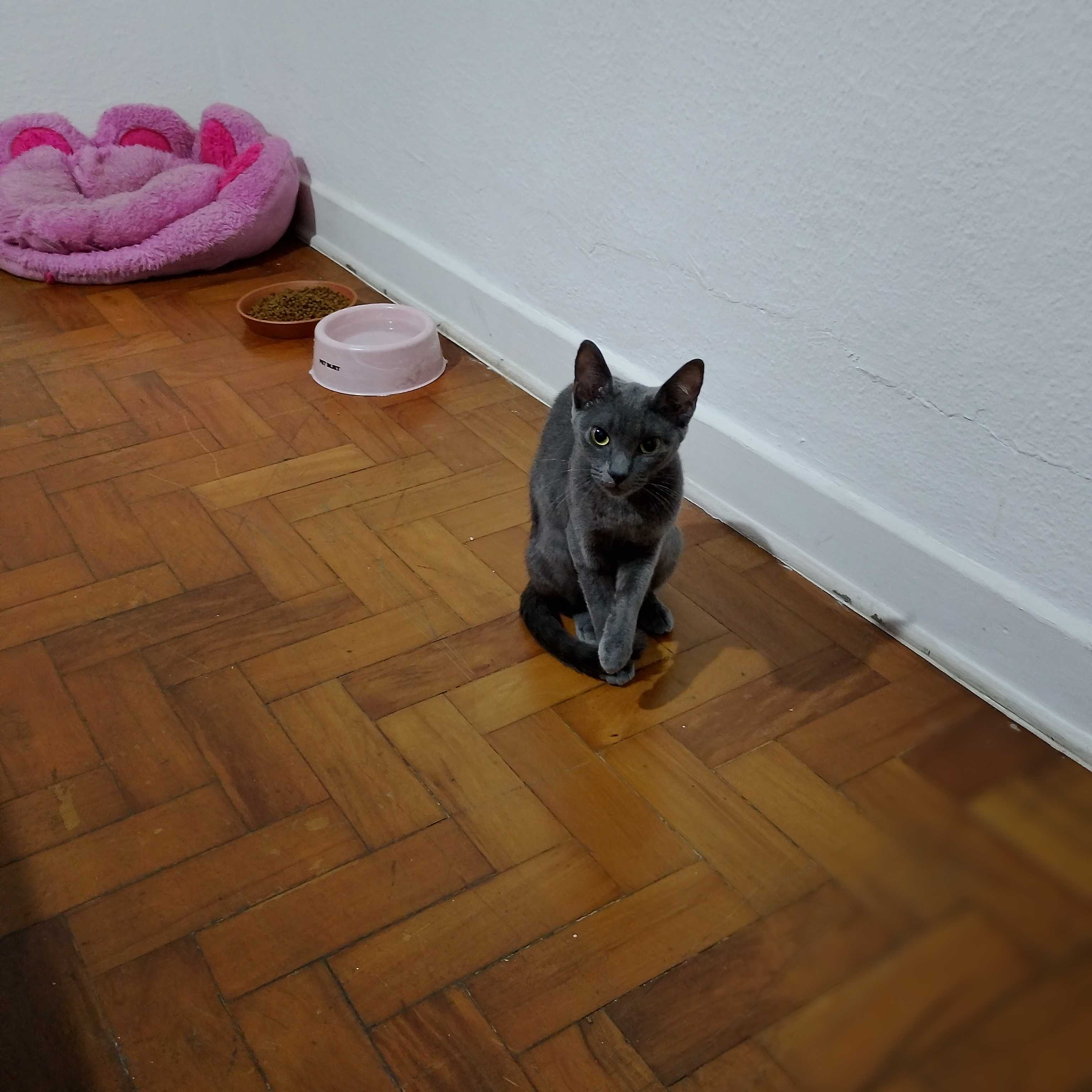 Fabia Cristina / Ambientalista