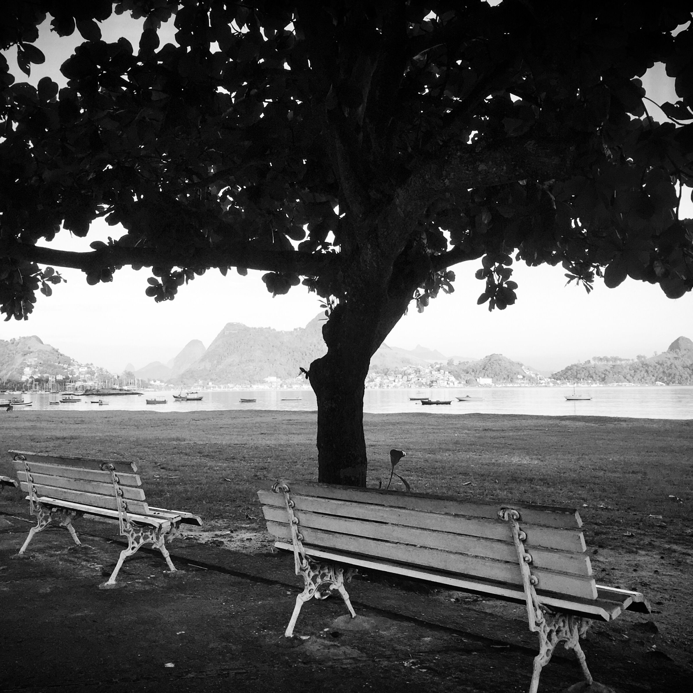 Patricia Caetano Quintella