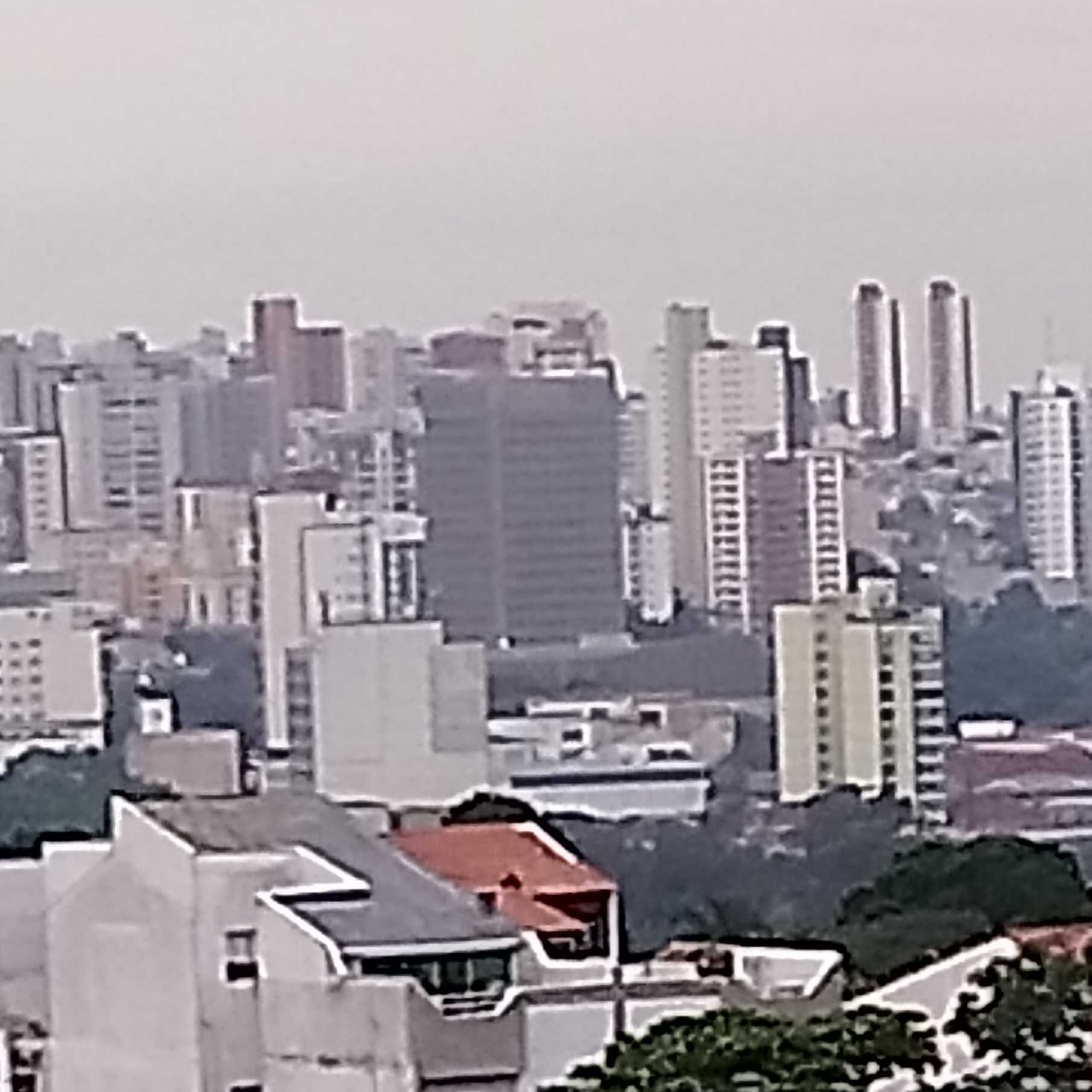 Guilherme Schiavan de Paula 