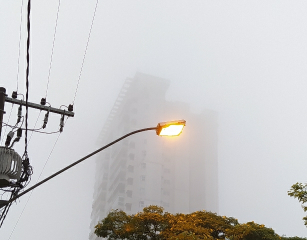 Marcelo Luis Nogueira