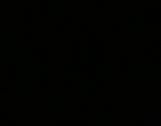 Cláudio Evaldo de Sousa junior