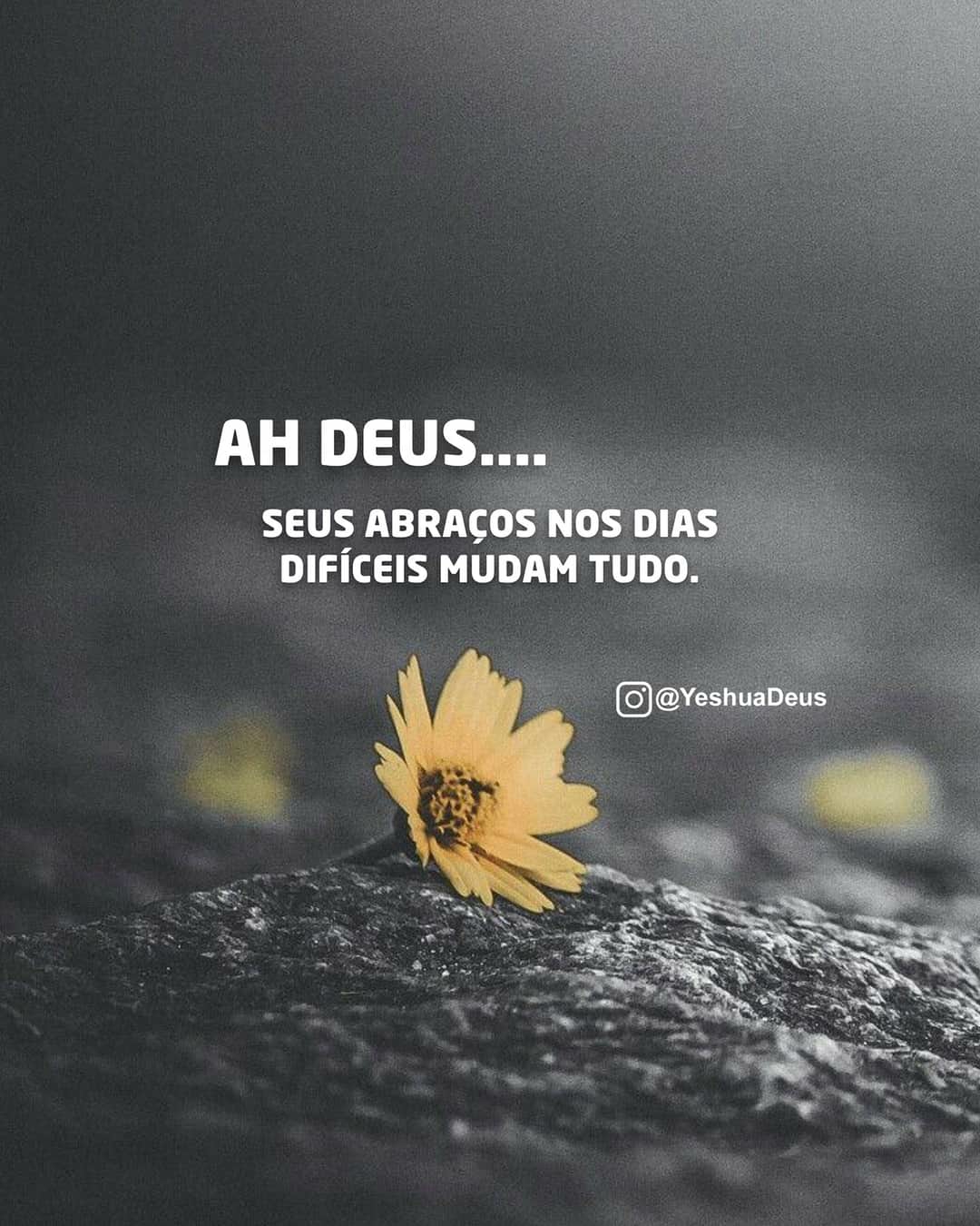 Darlane Rubim
