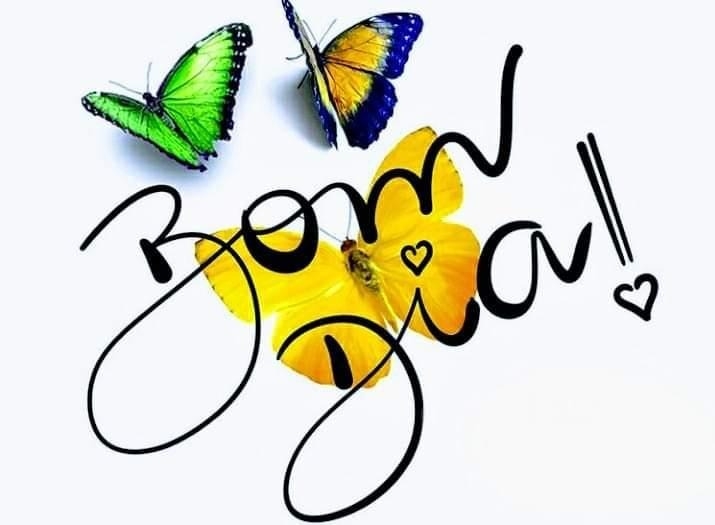 Carlos Alberto de Frei